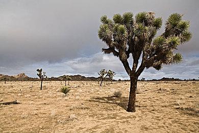 《2077》设计师：地铁系统最初被设计为角色扮演一环