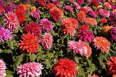 《乐高星球大战：天行者传奇》PC版配置需求公布